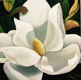 Magnolia3