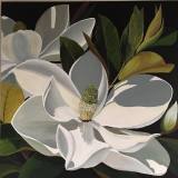 magnificent-magnolia-no1