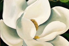 Magnolia1