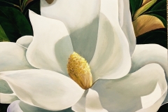 Magnolia3