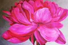 Peaceful-Peony