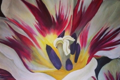 Carnivale-de-Nice-Tulip