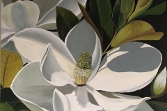 magnificent-magnolia-no1